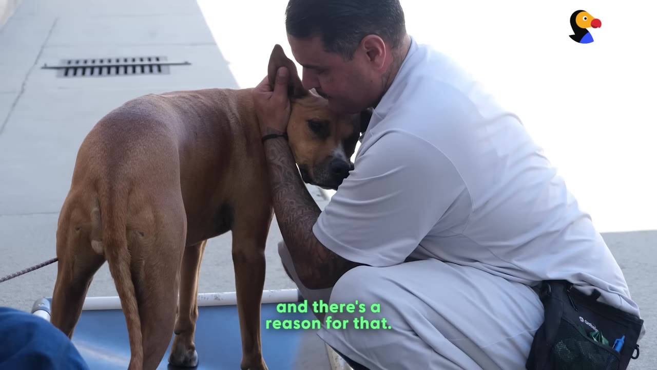 A man in a light-colored uniform crouches down and gently rests his head against a brown dog's head, holding the dog's ear.