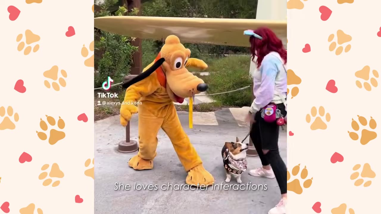 A woman with red hair and a small corgi on a leash stand next to a person in a Pluto character costume at an outdoor park.