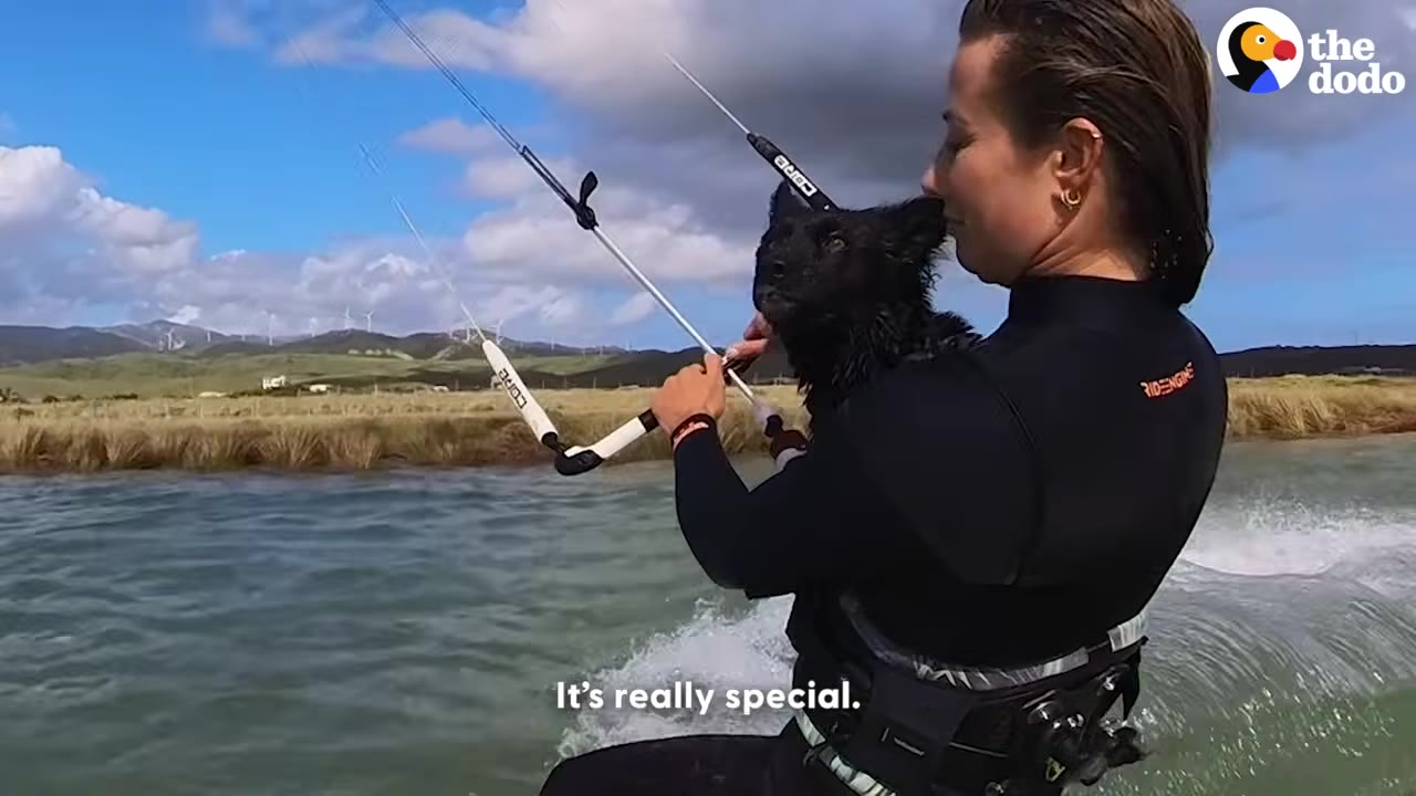 A woman in a black wetsuit kitesurfs on the water while holding a small black dog close to her chest, with the dog looking forward alertly.