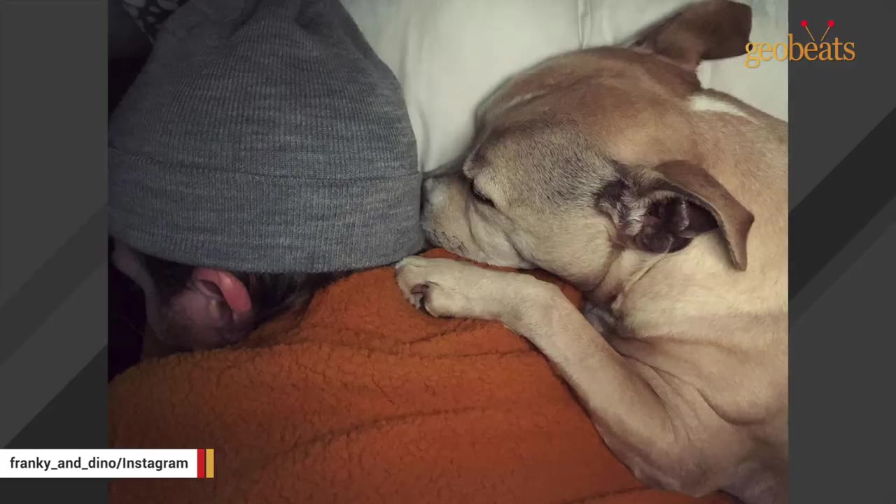 A tan dog rests its head and paw on the shoulder of a person wearing a grey beanie and an orange fleece jacket.