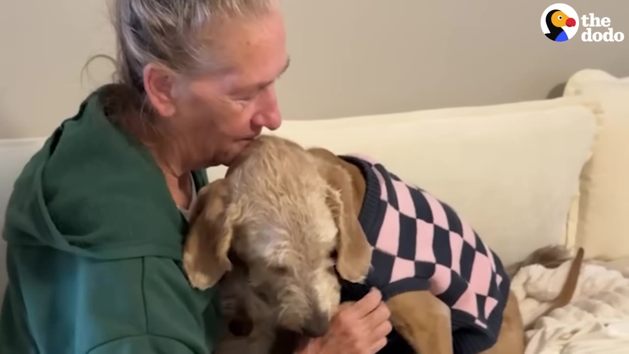 A woman in a green hoodie gently embraces a light-colored dog wearing a pink and black checkered sweater.