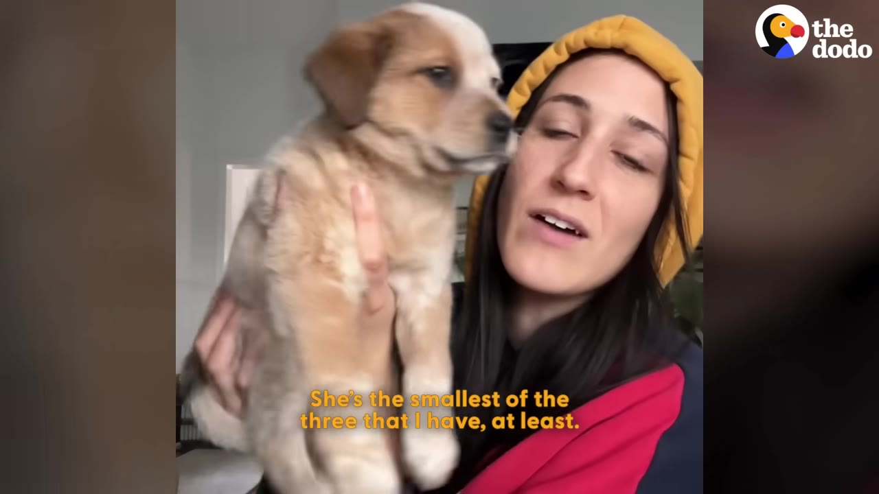 A woman wearing a yellow hooded sweatshirt holds up a small tan and white puppy to the camera.