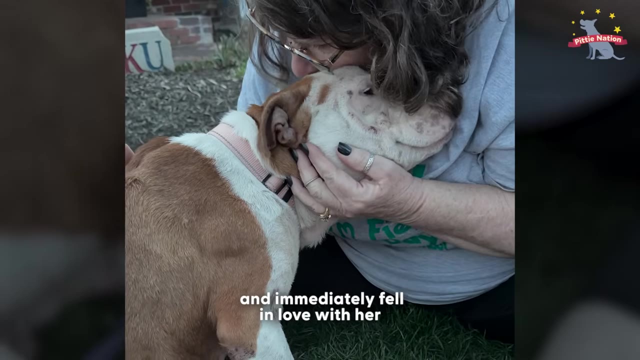 A woman with glasses and brown curly hair gently cradles and kisses a brown and white dog wearing a pink collar, while the dog leans into her embrace.