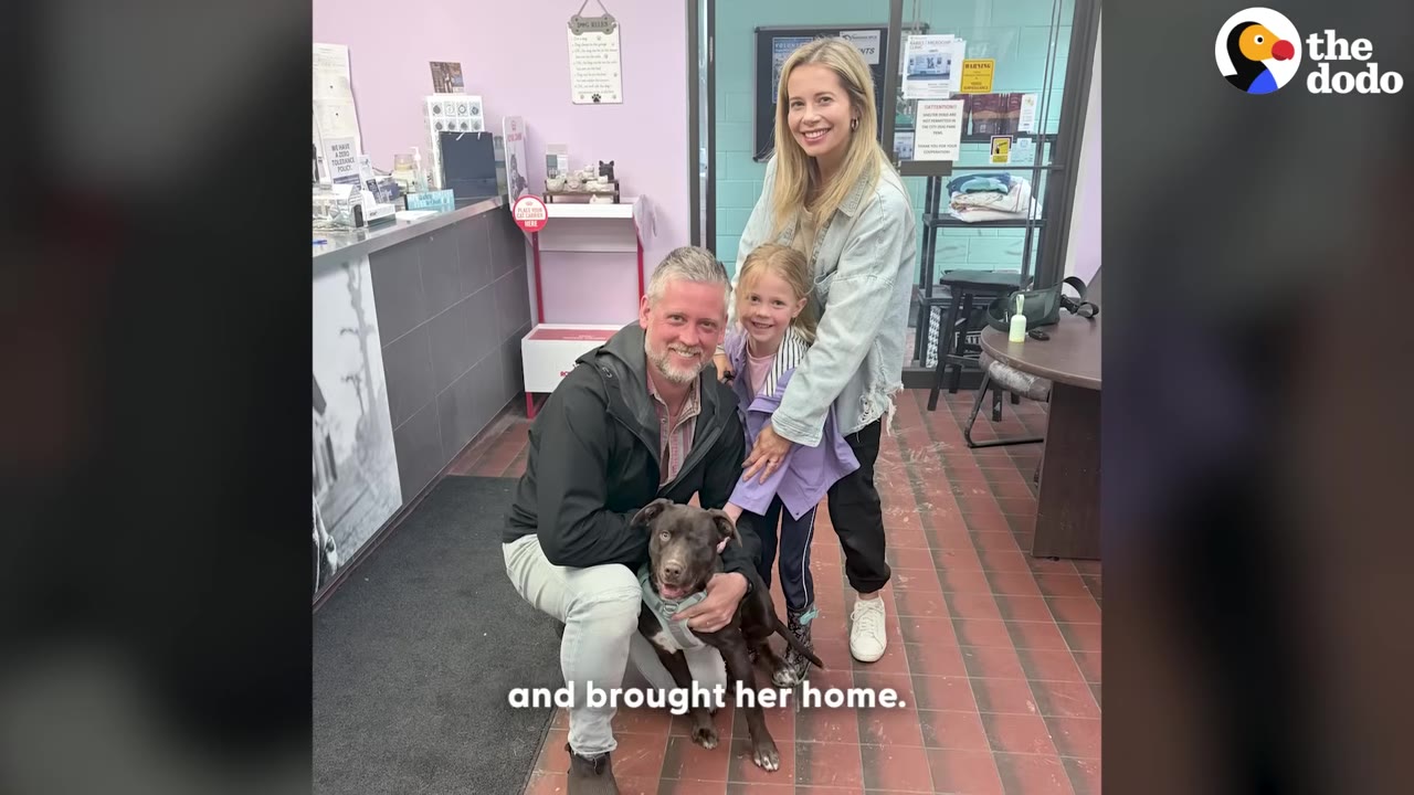 A smiling family of three poses with a brown dog inside an animal shelter lobby.