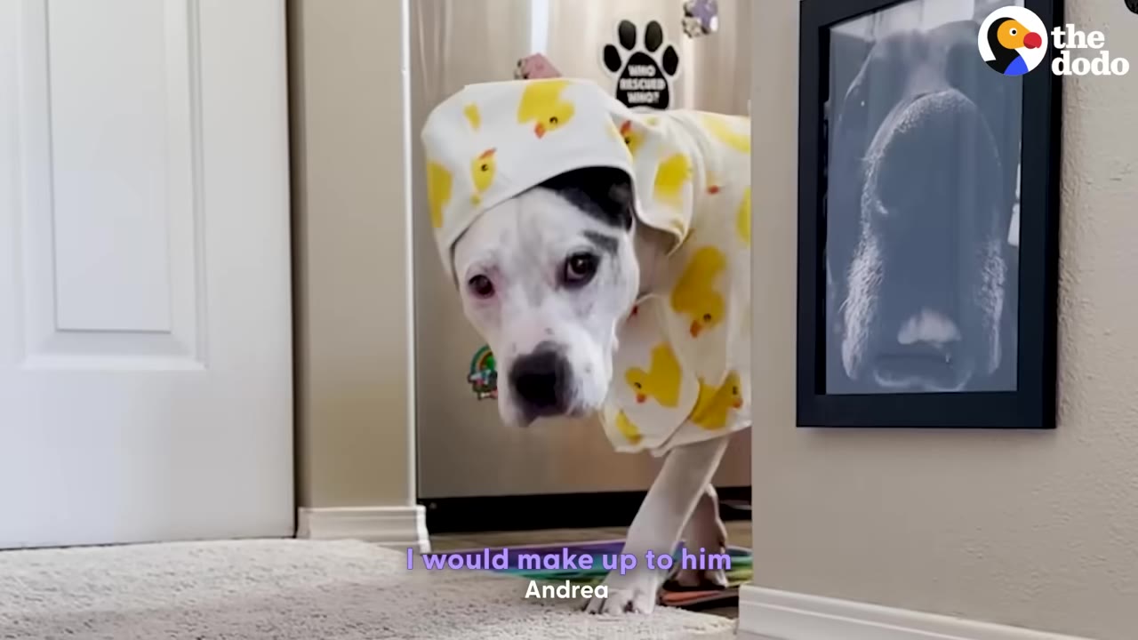 A white and black dog named Snoopy wearing a yellow hoodie with a duck pattern walks into a room.