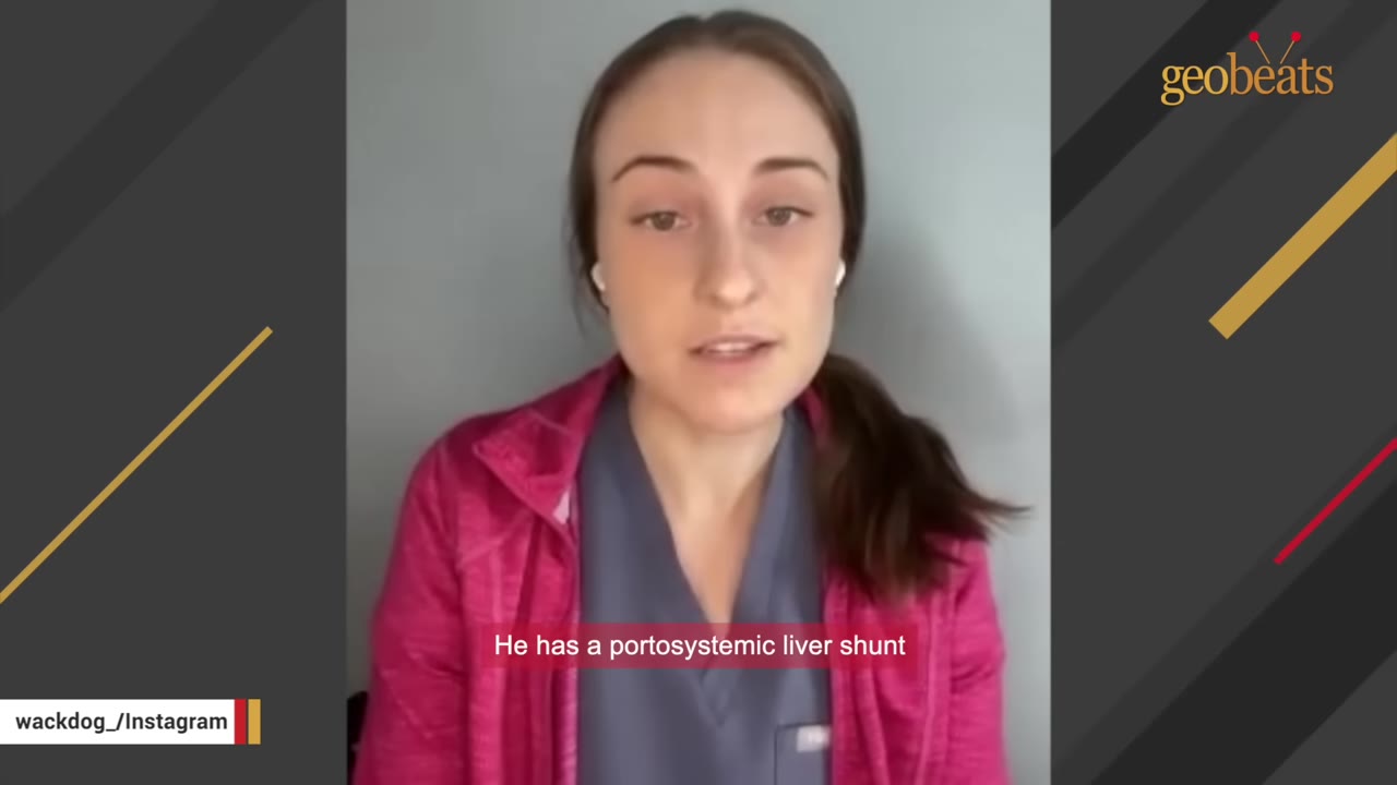 A woman in a pink jacket and grey scrubs speaking, with a caption that reads 'He has a portosystemic liver shunt'.