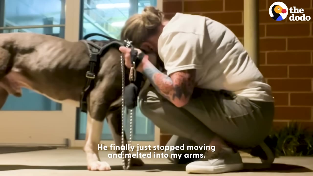 A person with tattoos on their arm crouches down outside a building at night, leaning their head affectionately against a large, dark-colored dog wearing a harness.