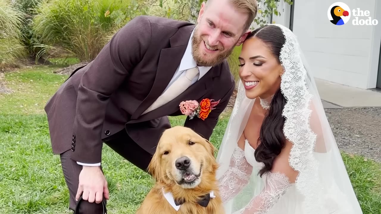 A bride in a white lace veil and a groom in a dark suit smile as they pose outdoors with a golden retriever wearing a black bow tie.