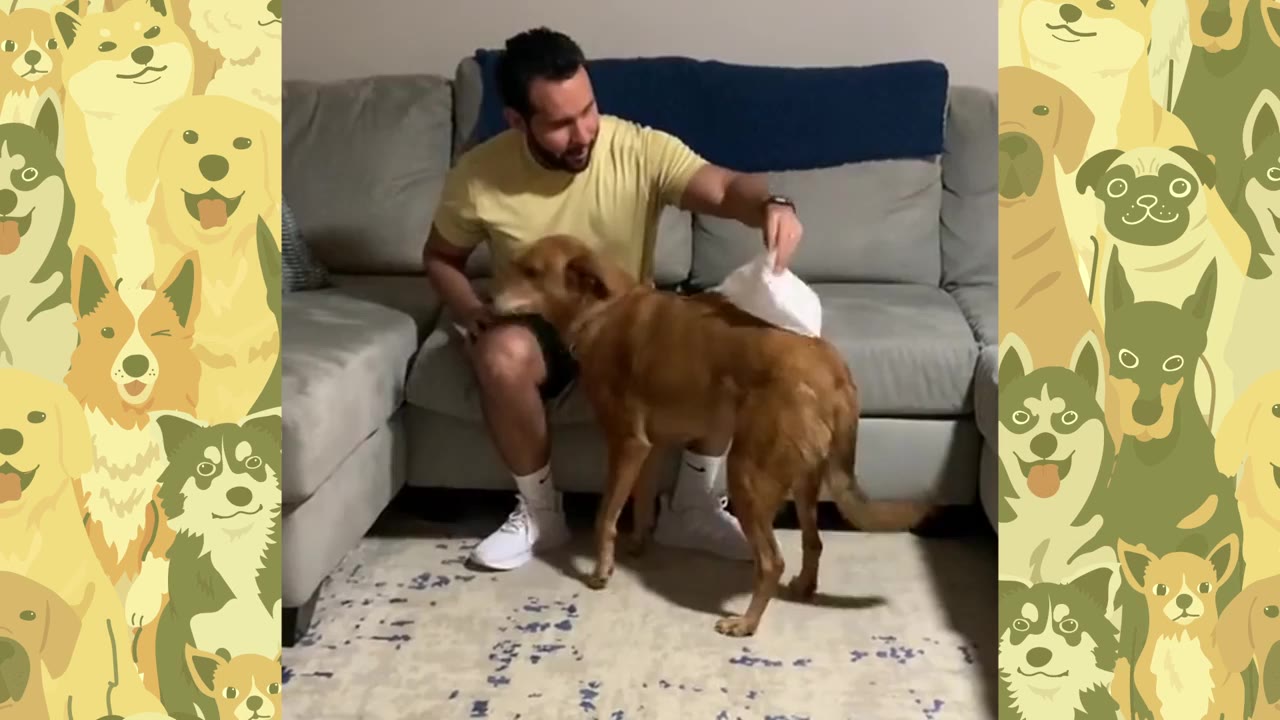 A man sitting on a grey couch uses a white paper towel to scratch the back of a brown dog standing in front of him.