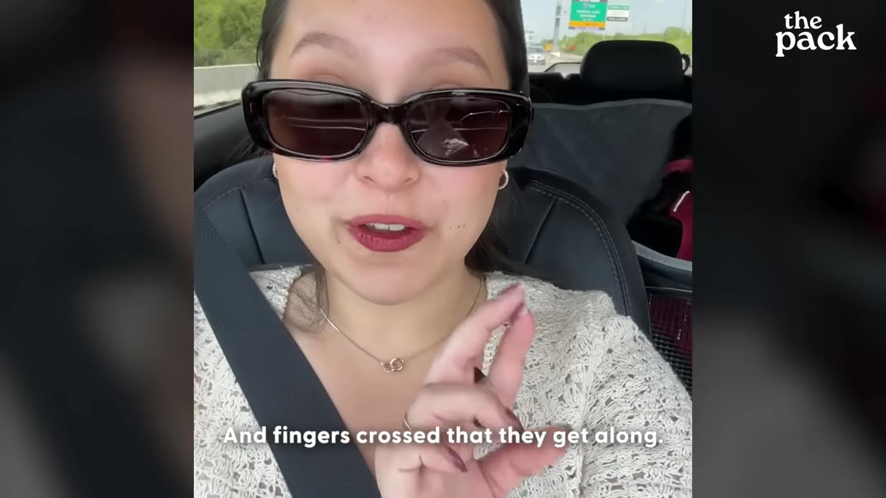 A woman wearing sunglasses in a car crosses her fingers, with the subtitle 'And fingers crossed that they get along.'