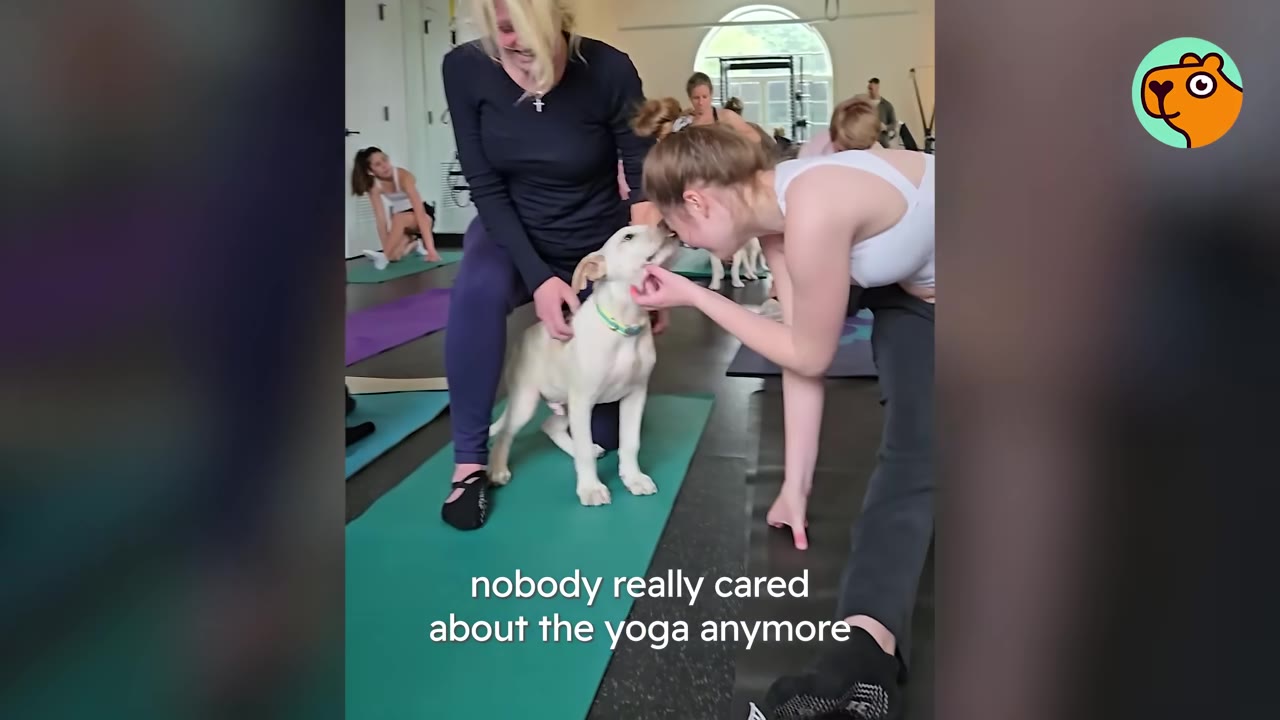 A light-colored puppy stands on a green yoga mat, interacting with a woman in a black shirt and another woman in a white top who is leaning in to touch its nose.
