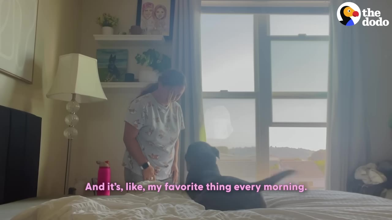 A woman in pajamas stands on a bed looking down at a black dog wagging its tail, with a window in the background.
