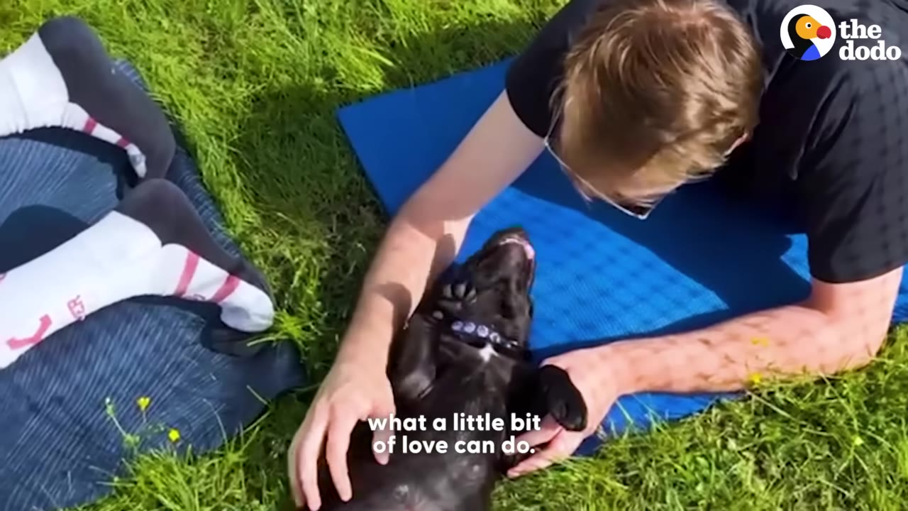 A person lying on a blue mat in the grass, gently petting a small black dog that is lying on its back looking up happily.