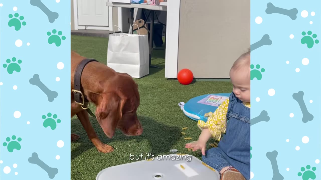 A young child in denim overalls sits on green turf next to a brown dog, reaching toward a small piece of food on a white tray.