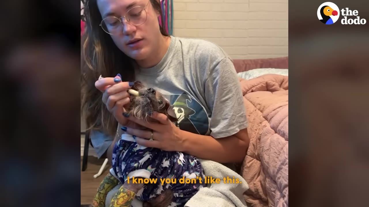 A woman wearing glasses holds a small dog in pajamas and uses a syringe to administer oral medication to him.