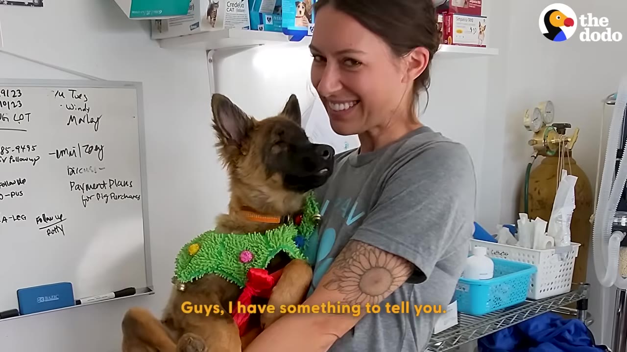 A smiling woman with a sunflower tattoo on her arm holds a small brown puppy wearing a green textured sweater with a red bow.