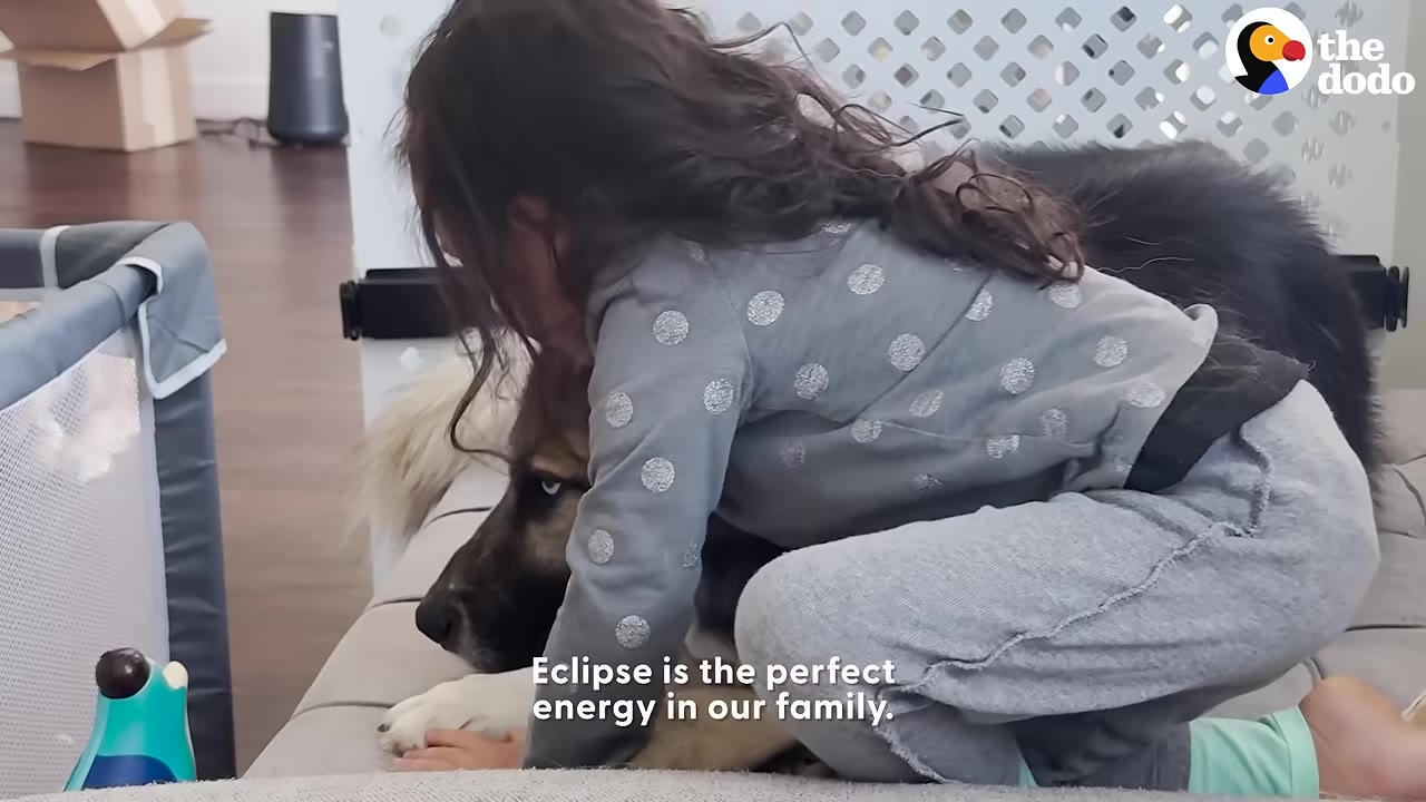 A young girl in a grey polka-dot shirt hugs a large, fluffy, dark-furred dog named Eclipse on a couch.