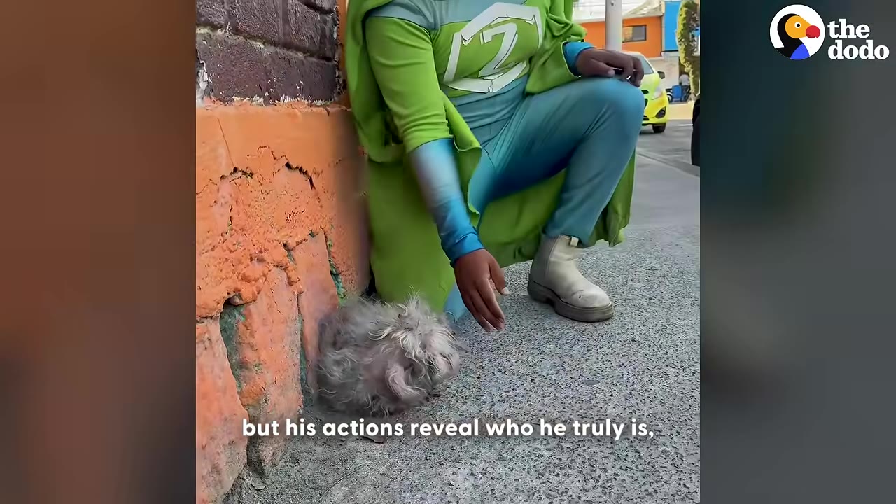 A person in a green and blue superhero costume crouches on a sidewalk, reaching a hand out toward a small, matted grey dog huddled against a brick wall.