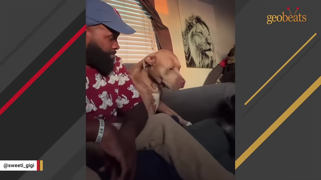 A man wearing a blue baseball cap and a red patterned shirt sits on a couch next to a tan pit bull-type dog.