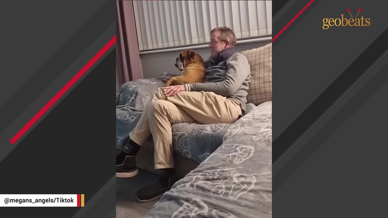 An older man sitting on a couch with a brown bulldog resting in his lap, both looking in the same direction.
