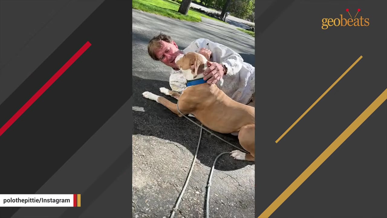 A man lying on a paved driveway, smiling as a tan and white dog with a blue collar leans in to lick his face.