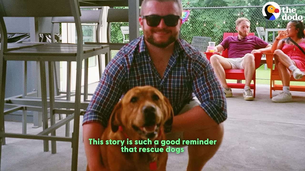 A smiling man wearing sunglasses and a plaid shirt crouches outdoors next to a healthy brown dog.