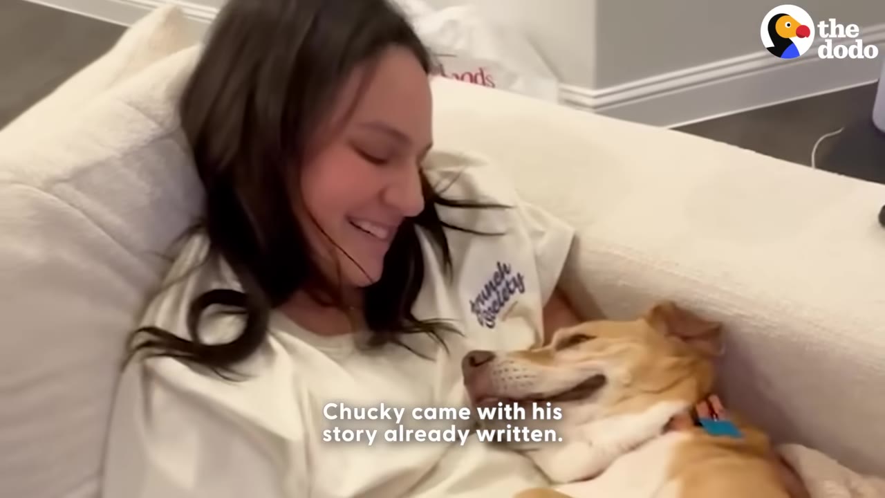 A smiling tan and white dog lies on a couch, resting its head on a woman's chest as she smiles down at him.