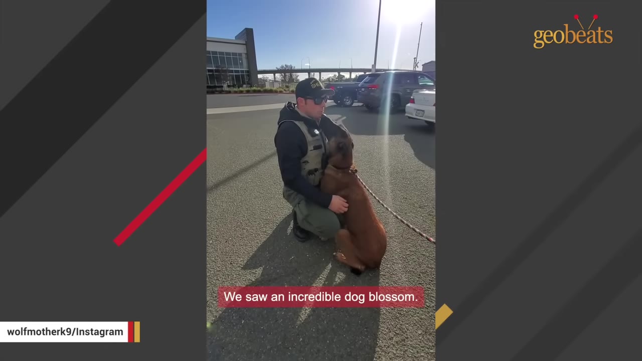 A man in a uniform and cap kneels on an asphalt parking lot, gently holding a brown dog that is leaning against him.