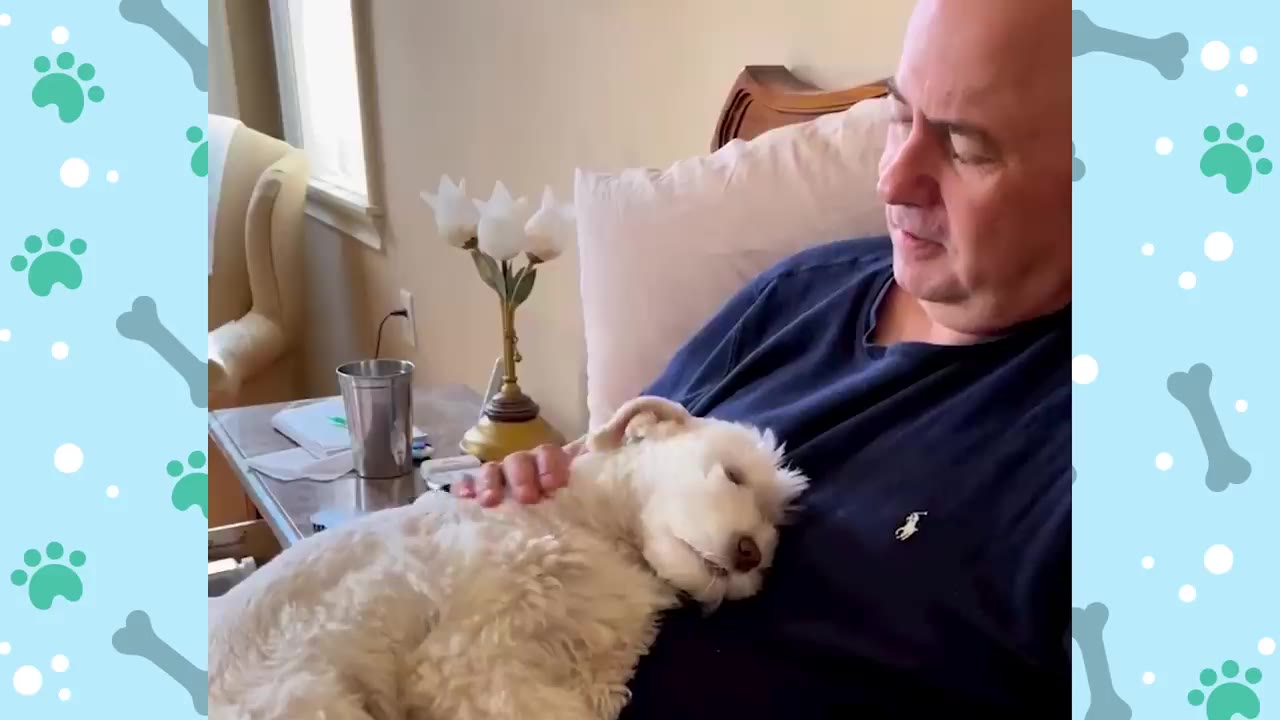 A man relaxes on a bed, gently petting a small, fluffy white dog resting on his chest.