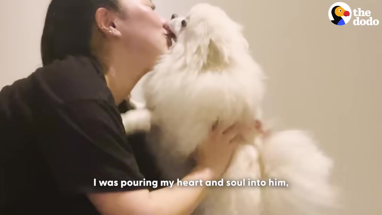 A woman in a black shirt holds and kisses a fluffy white dog on the face.