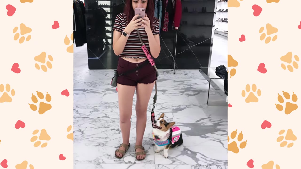 A young woman with reddish hair stands in a store taking a mirror selfie, while her corgi wearing a pink service vest sits by her feet and looks up at her affectionately.