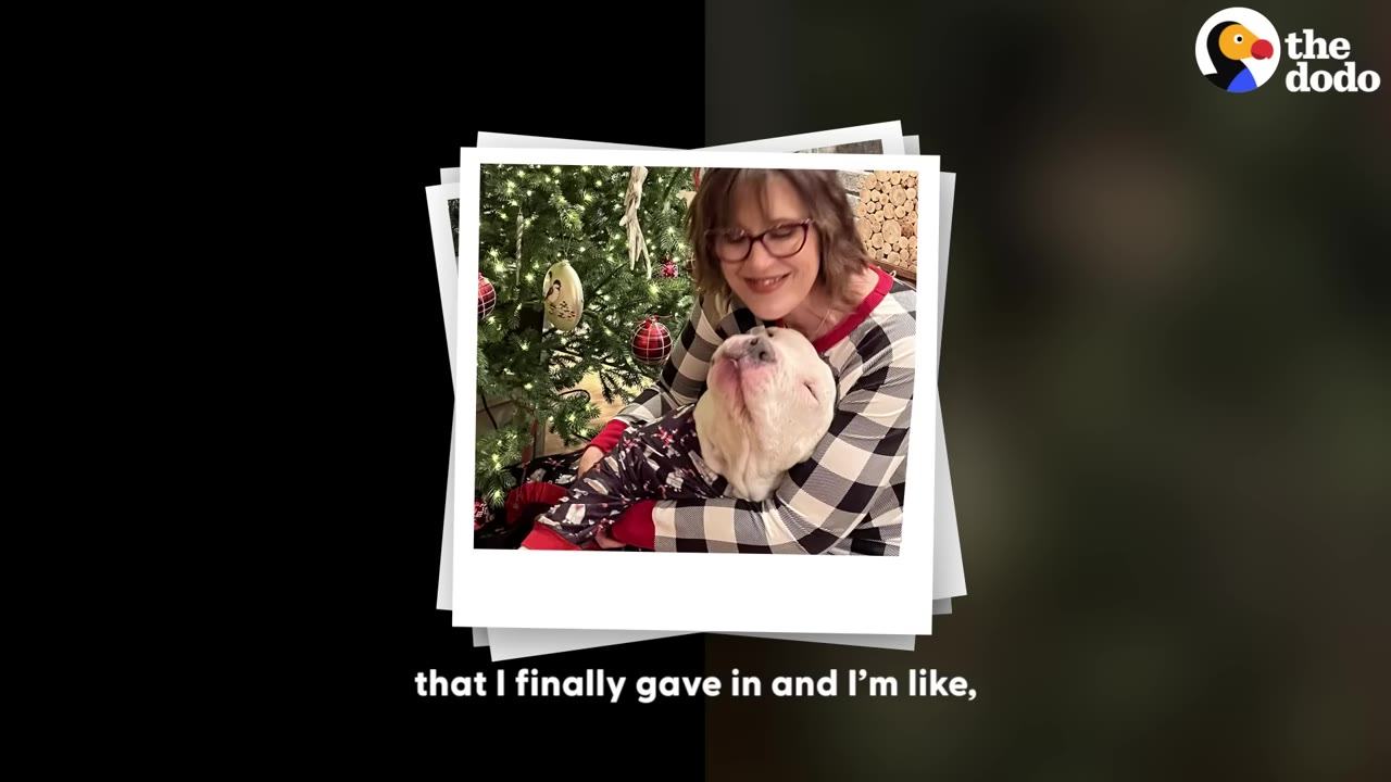 A polaroid-style photo of a smiling woman with glasses hugging a white dog wearing pajamas in front of a decorated Christmas tree.