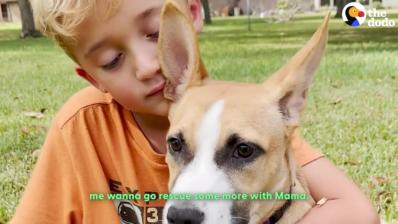 A young blonde boy in an orange shirt tenderly embraces a tan and white dog with large ears, leaning his face gently against the dog's head.