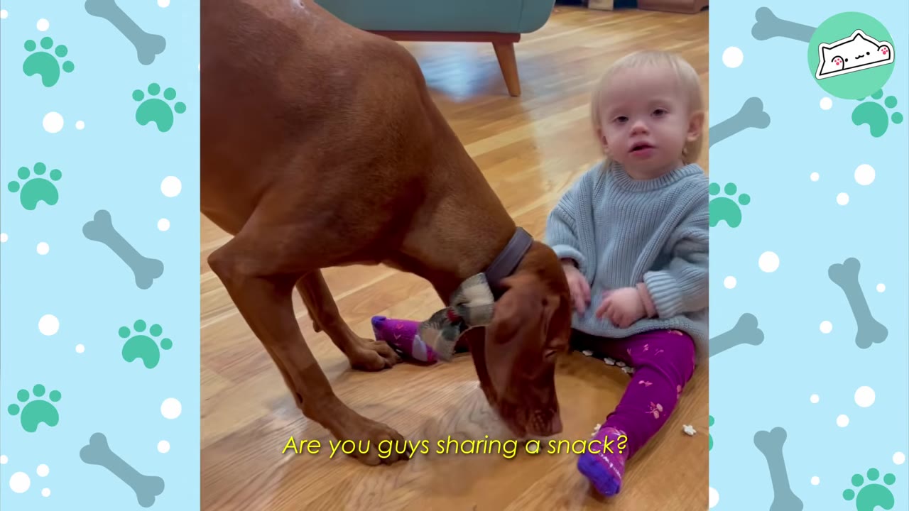 A toddler in a blue sweater and purple leggings sits on a wooden floor next to a brown dog sniffing the ground, with text overlay reading 'Are you guys sharing a snack?'.