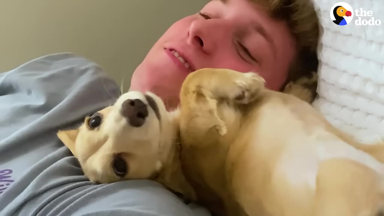 A small tan dog lies on its back on a young man's chest, looking up at the camera while the man smiles warmly.
