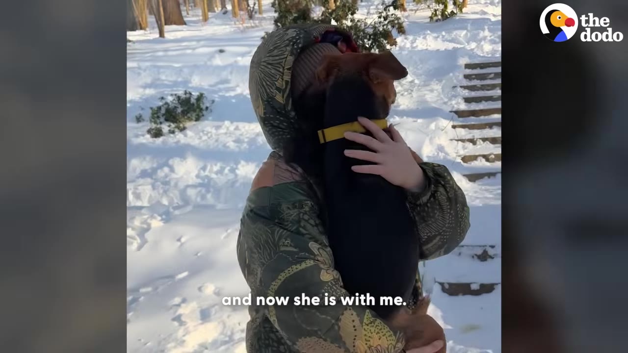 A person in a winter jacket hugs a small black and brown dog tightly in a snowy outdoor setting.