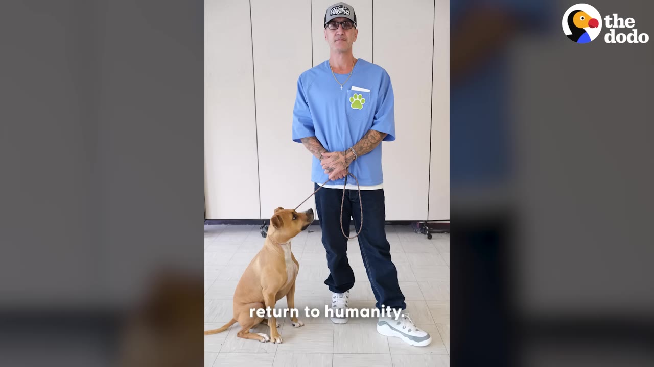 A man wearing a blue shirt and a baseball cap stands holding a leash attached to a brown dog that is sitting and looking up at him, with the text 'return to humanity' displayed at the bottom.