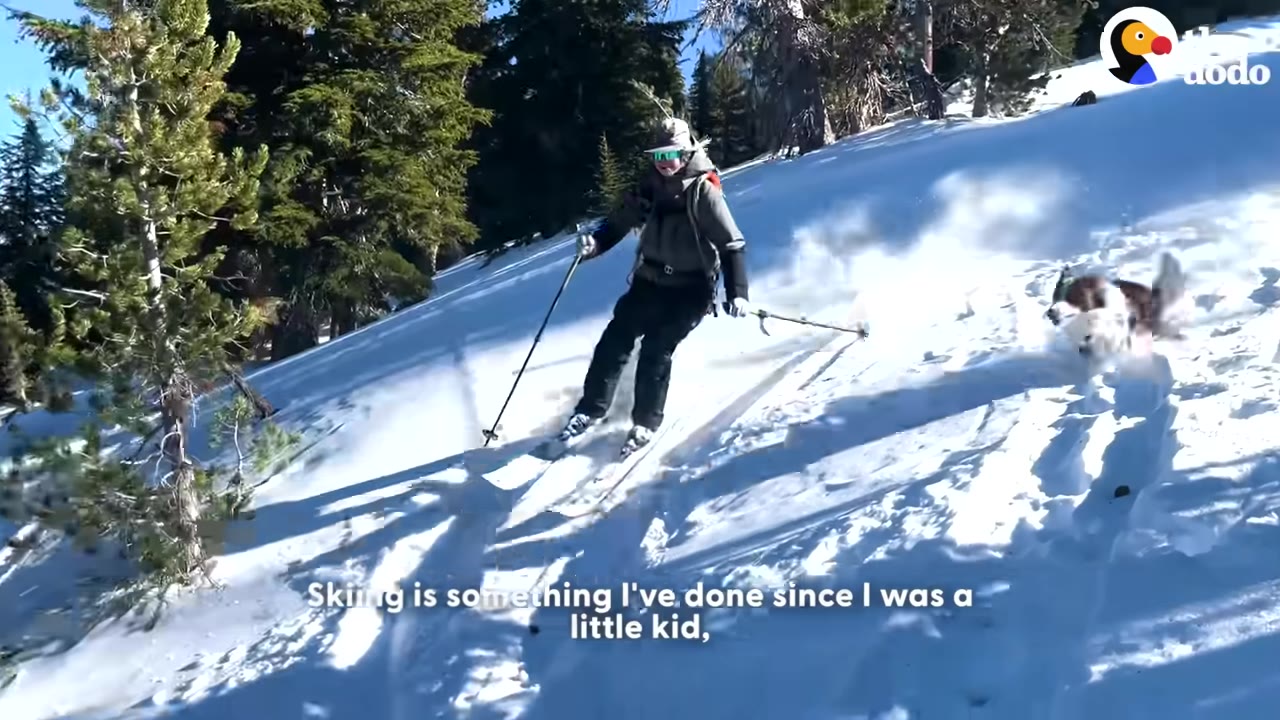 A person skiing down a snowy slope with a dog running alongside them, with pine trees in the background and a subtitle that reads 'Skiing is something I've done since I was a little kid,'.