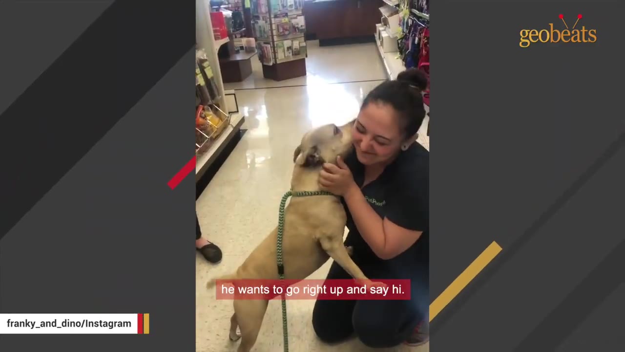 A tan dog on a leash stands on its hind legs to greet a smiling woman kneeling on the floor of a store.
