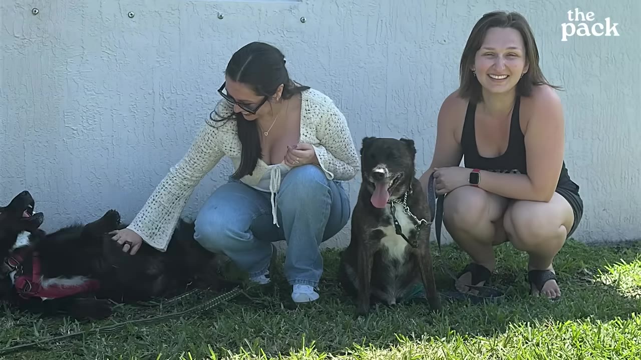 Two women crouch on the grass next to a white wall, smiling as they pet two dogs, one of which is lying on its back.