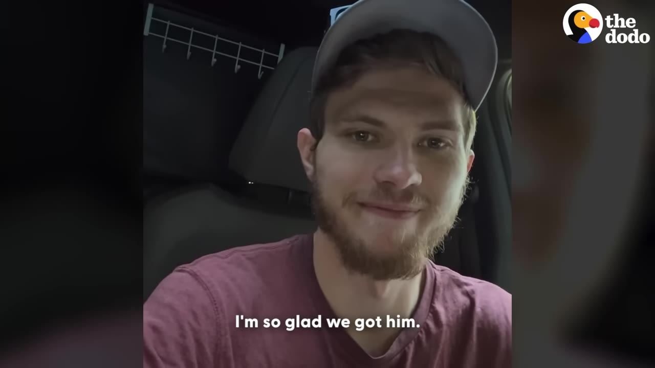 A close-up of a smiling young man with a beard, wearing a grey baseball cap and a maroon t-shirt, sitting inside a vehicle.