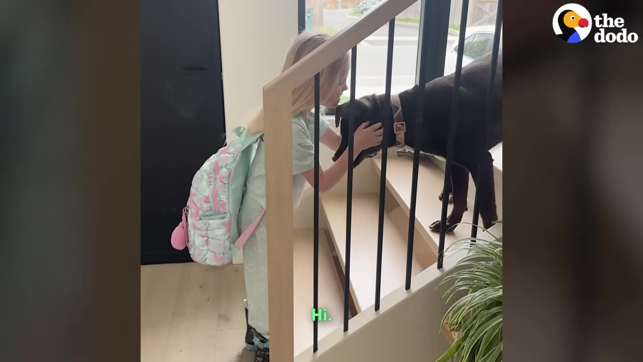 A young blonde girl wearing a backpack gently pets a dark-colored dog standing on the wooden stairs.