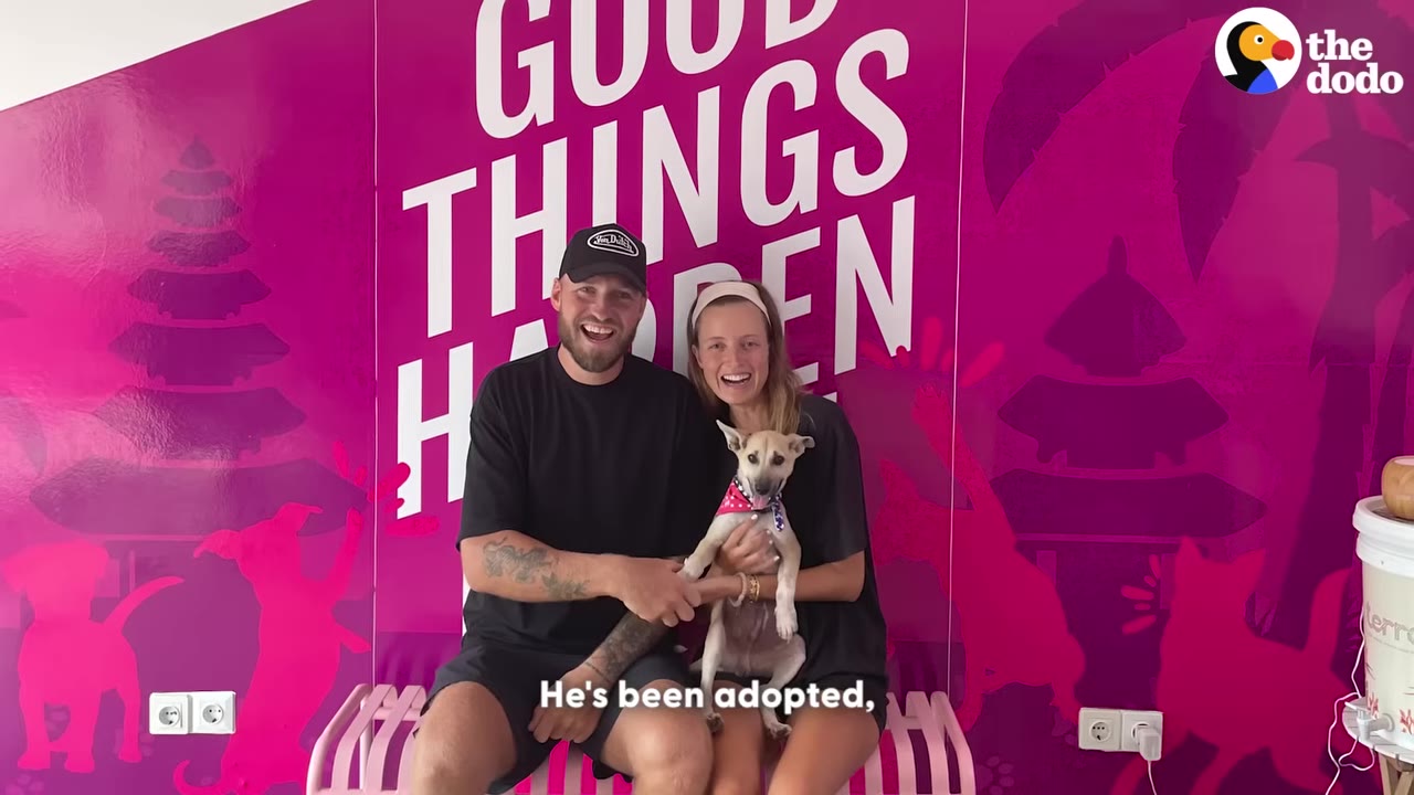 A smiling man and woman sit on a pink bench holding a small tan puppy wearing a pink bandana, in front of a bright pink wall that reads 'GOOD THINGS HAPPEN'.