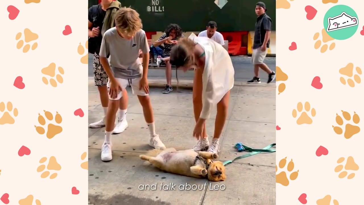 A small dog lies on its back on a city sidewalk as a young boy and a woman lean over to pet and interact with it, while other people stand nearby and watch.