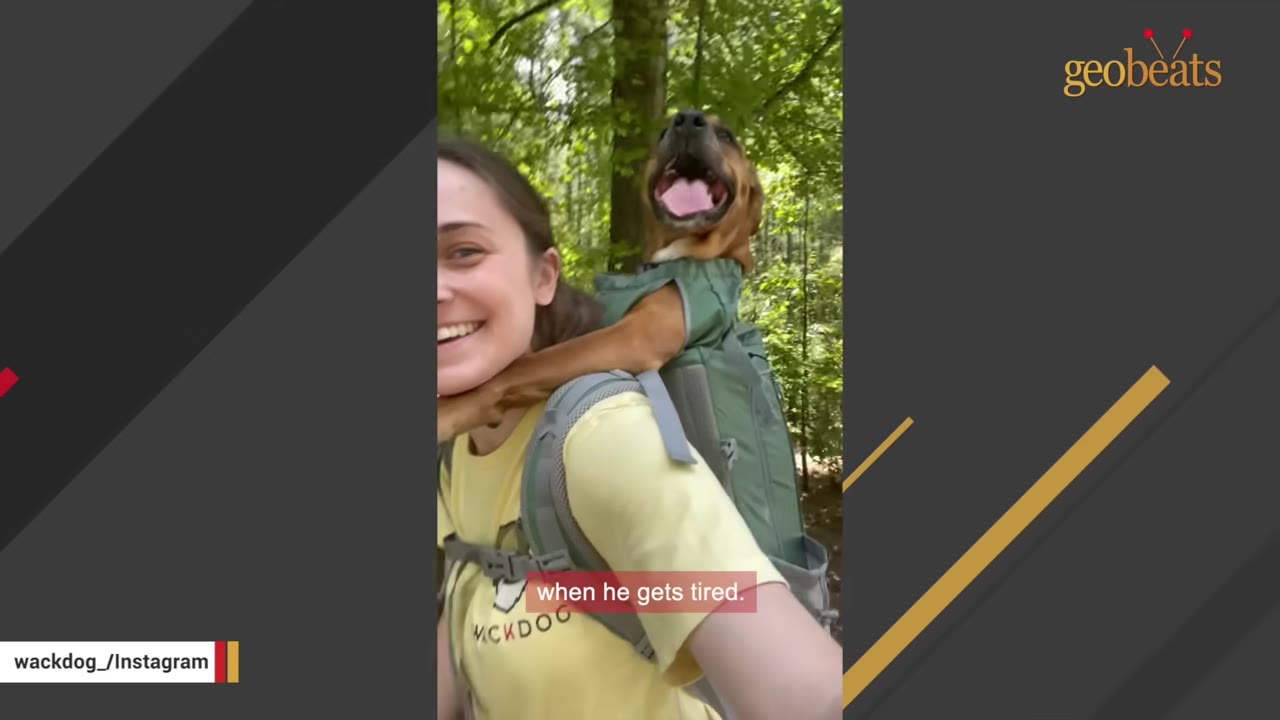 A smiling woman hikes through a wooded area while carrying a brown dog in a green backpack carrier.