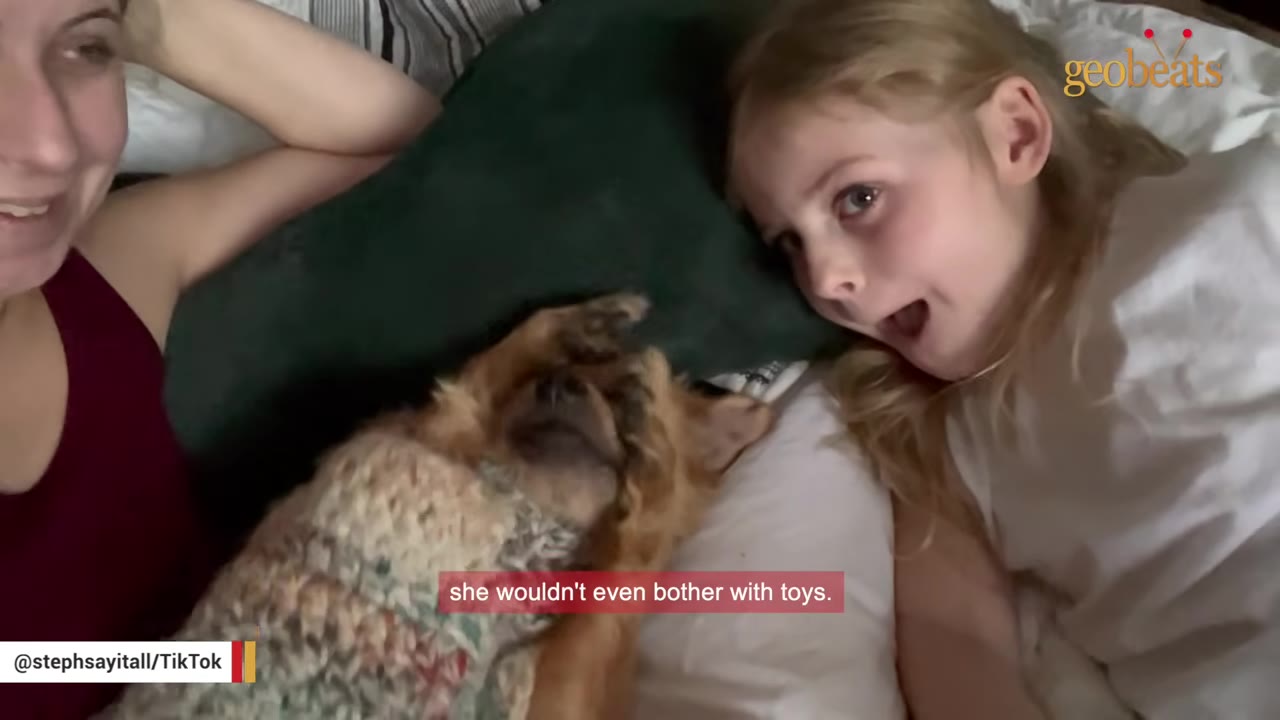 A small brown dog wearing a knit sweater lies on its back on a bed, flanked by a smiling woman and a young girl looking on with delight.