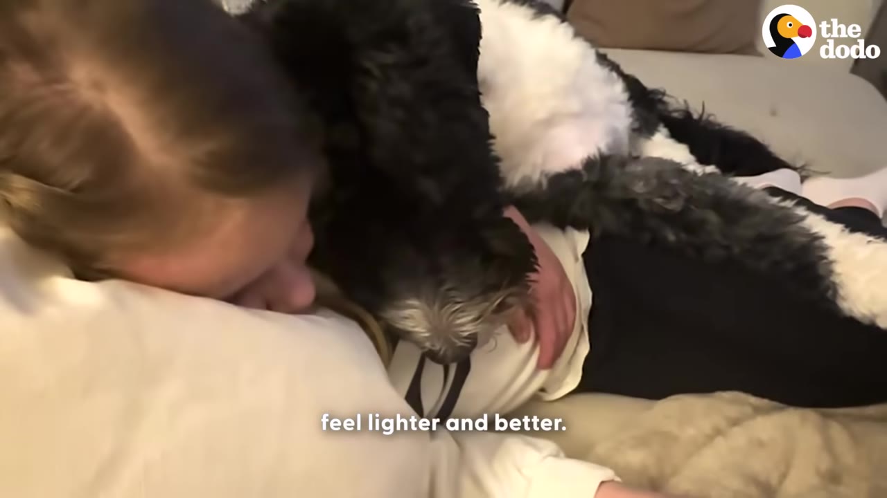A young girl with light brown hair lies down on a couch, resting her head on a pillow while a black and white fluffy dog lies on top of her.
