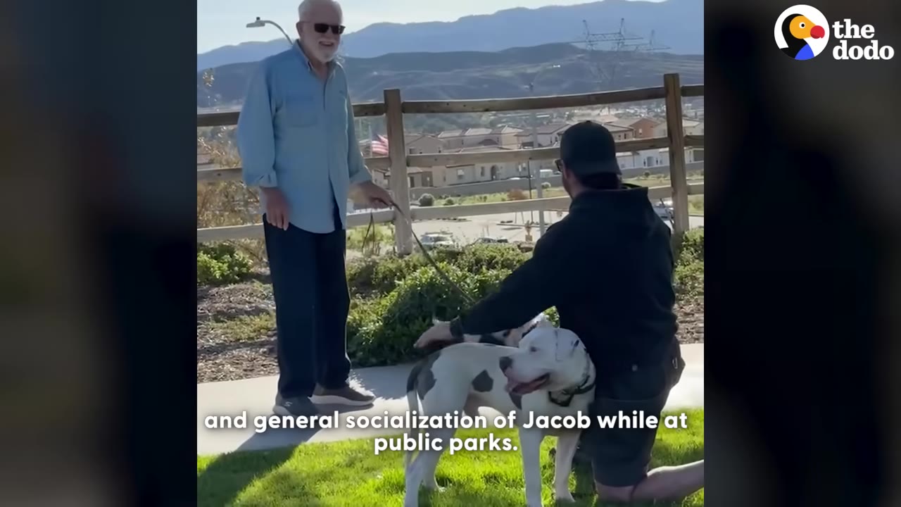 A man in a black hoodie and cap kneels on a grassy area next to a white and grey dog, petting it, while another man stands nearby holding a leash.