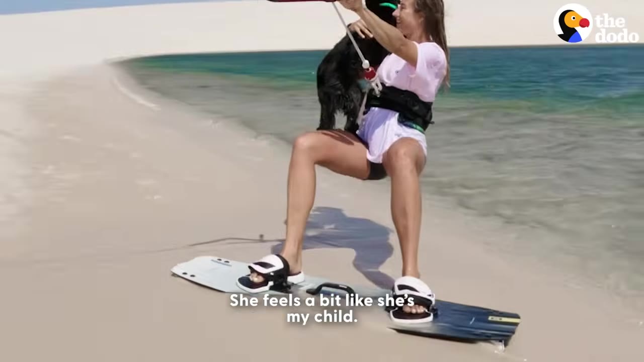A woman in a white t-shirt and harness stands on a kitesurfing board on a sandy beach next to turquoise water, holding a black dog close to her chest.