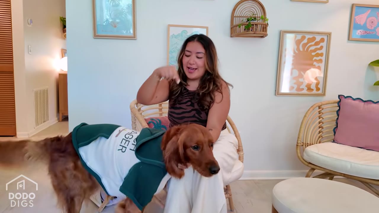A golden retriever wearing a green and white hoodie stands next to a woman sitting in a rattan chair.